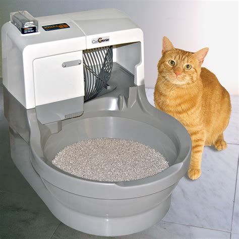 how often to clean a litter box